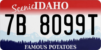 ID license plate 7B8099T