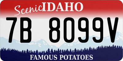 ID license plate 7B8099V