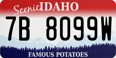 ID license plate 7B8099W