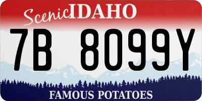 ID license plate 7B8099Y