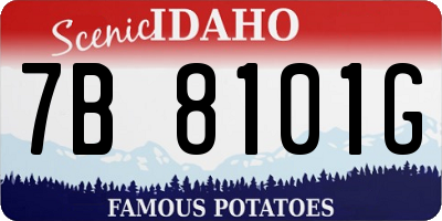 ID license plate 7B8101G