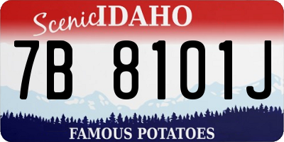 ID license plate 7B8101J