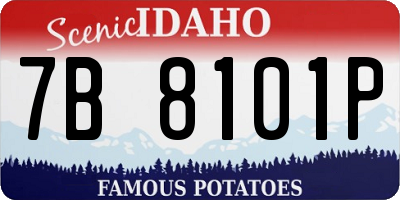ID license plate 7B8101P
