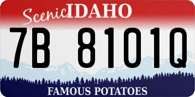 ID license plate 7B8101Q
