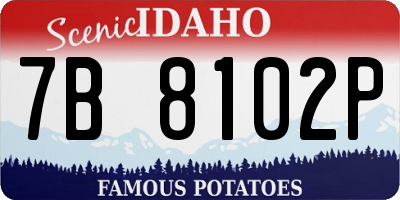 ID license plate 7B8102P