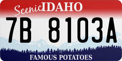 ID license plate 7B8103A