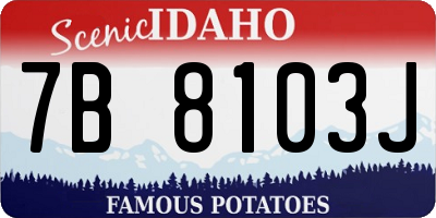 ID license plate 7B8103J
