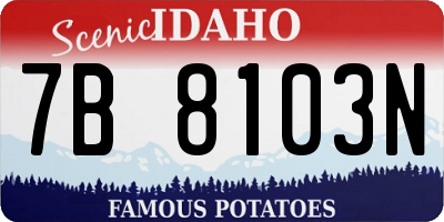 ID license plate 7B8103N