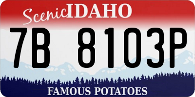 ID license plate 7B8103P