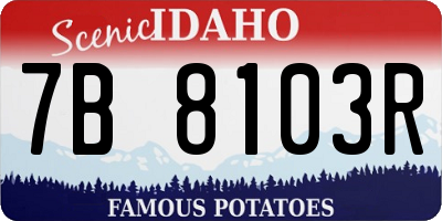 ID license plate 7B8103R