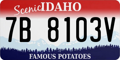 ID license plate 7B8103V