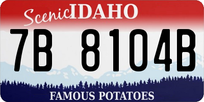 ID license plate 7B8104B