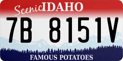 ID license plate 7B8151V
