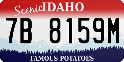 ID license plate 7B8159M