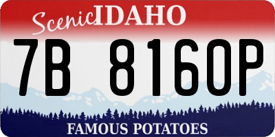 ID license plate 7B8160P