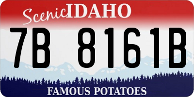 ID license plate 7B8161B