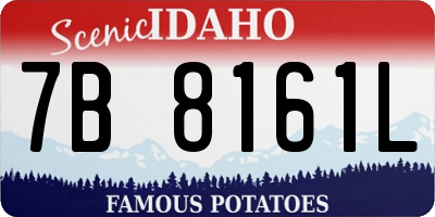 ID license plate 7B8161L