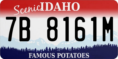 ID license plate 7B8161M