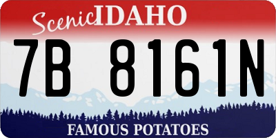 ID license plate 7B8161N