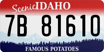 ID license plate 7B8161O