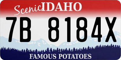 ID license plate 7B8184X