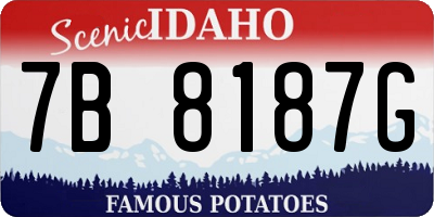 ID license plate 7B8187G