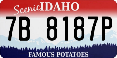 ID license plate 7B8187P