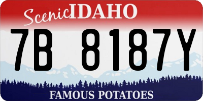 ID license plate 7B8187Y