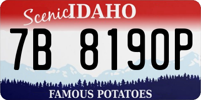 ID license plate 7B8190P