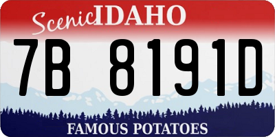 ID license plate 7B8191D