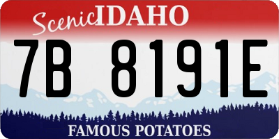 ID license plate 7B8191E