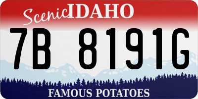 ID license plate 7B8191G