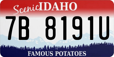 ID license plate 7B8191U