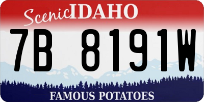 ID license plate 7B8191W