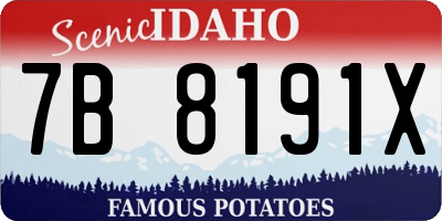 ID license plate 7B8191X