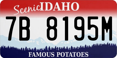 ID license plate 7B8195M
