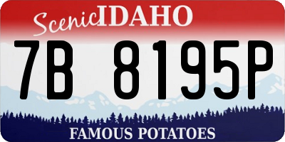ID license plate 7B8195P