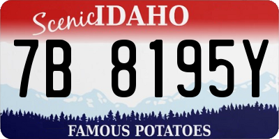 ID license plate 7B8195Y