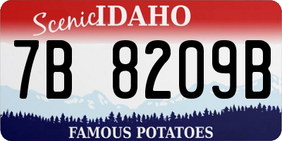 ID license plate 7B8209B