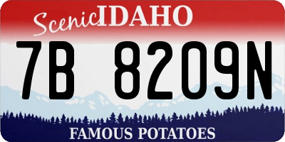 ID license plate 7B8209N