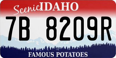 ID license plate 7B8209R
