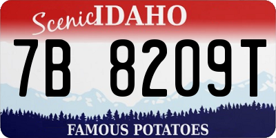 ID license plate 7B8209T