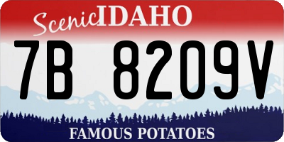 ID license plate 7B8209V