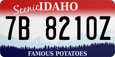 ID license plate 7B8210Z