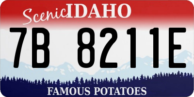 ID license plate 7B8211E