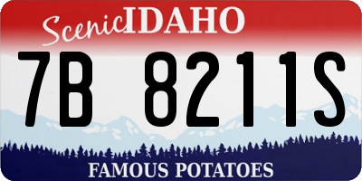 ID license plate 7B8211S