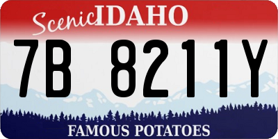 ID license plate 7B8211Y