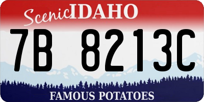 ID license plate 7B8213C