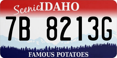 ID license plate 7B8213G