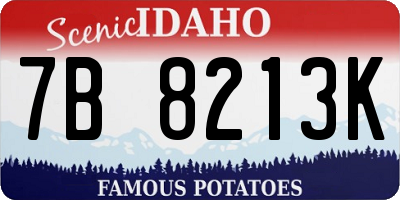 ID license plate 7B8213K